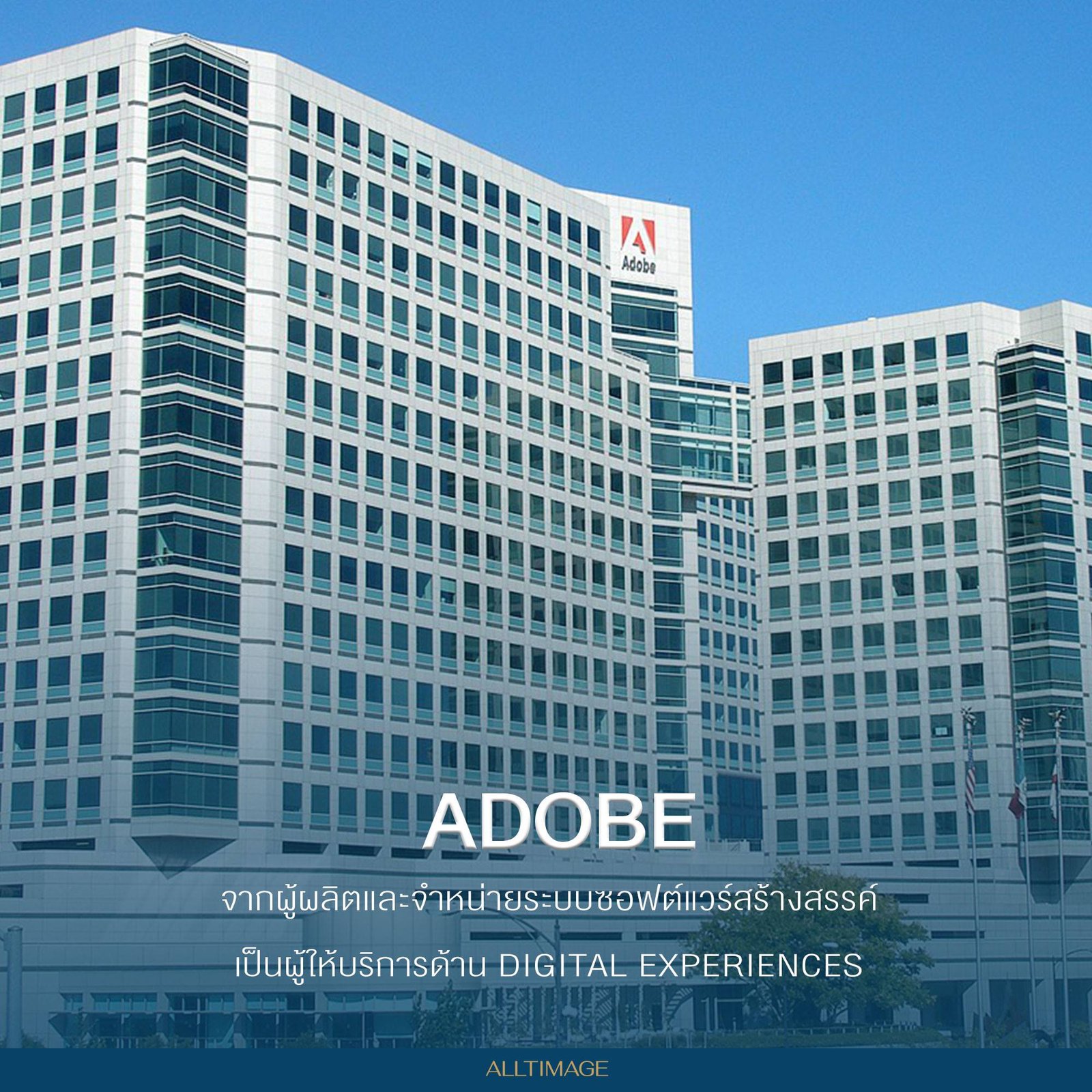 รูปภาพที่ 2 ของ 3 อันดับผู้นำ Digital Transition